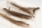 Etikett zu Textil (NHMW-PRAE-125689)